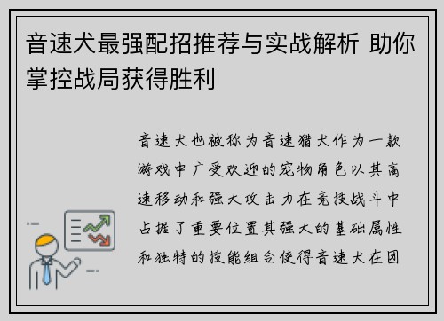 音速犬最强配招推荐与实战解析 助你掌控战局获得胜利